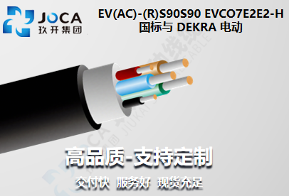 國標(biāo)與 DEKRA 電動(dòng)